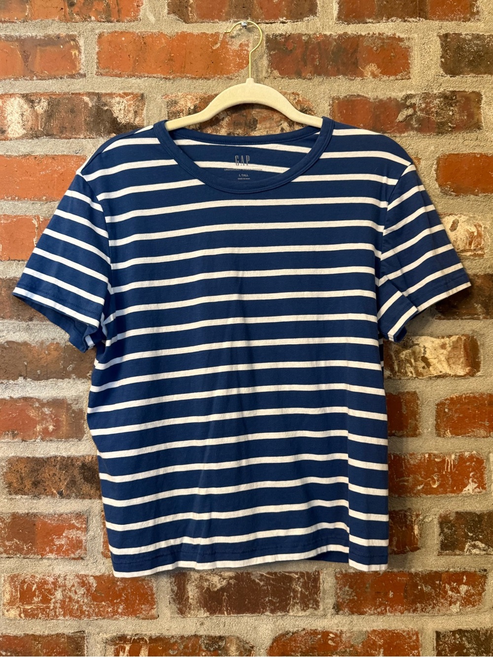GAP Blue and White Striped Short Sleeve Tee